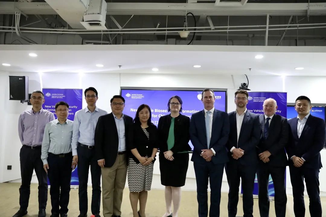 问鼎国际(中国区) - 官方网站